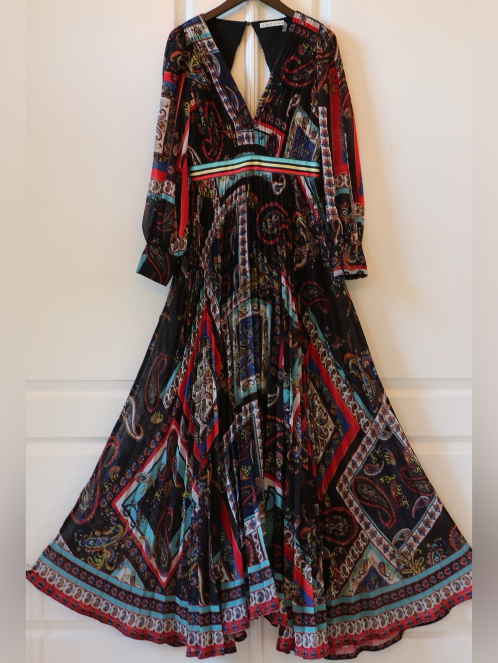 ALICE + OLIVIA Cheney Pleated Maxi Dress - Picture 9 of 15